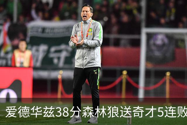 爱德华兹38分森林狼送奇才5连败 活塞力克黄蜂